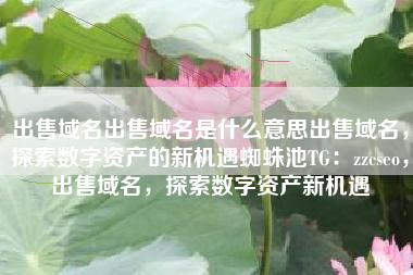 出售域名出售域名是什么意思出售域名，探索数字资产的新机遇蜘蛛池TG：zzcseo，出售域名，探索数字资产新机遇