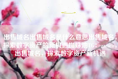 出售域名出售域名是什么意思出售域名，探索数字资产的新机遇蜘蛛池TG：zzcseo，出售域名，探索数字资产新机遇