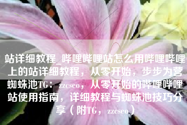站详细教程_哔哩哔哩站怎么用哔哩哔哩上的站详细教程，从零开始，步步为营蜘蛛池TG：zzcseo，从零开始的哔哩哔哩站使用指南，详细教程与蜘蛛池技巧分享（附TG，zzcseo）