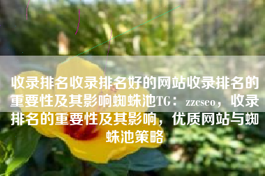 收录排名收录排名好的网站收录排名的重要性及其影响蜘蛛池TG：zzcseo，收录排名的重要性及其影响，优质网站与蜘蛛池策略