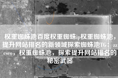 权重蜘蛛池百度权重蜘蛛ip权重蜘蛛池，提升网站排名的新领域探索蜘蛛池TG：zzcseo，权重蜘蛛池，探索提升网站排名的秘密武器