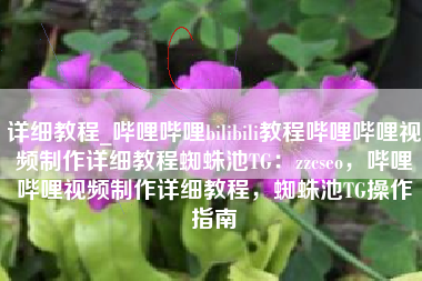 详细教程_哔哩哔哩bilibili教程哔哩哔哩视频制作详细教程蜘蛛池TG：zzcseo，哔哩哔哩视频制作详细教程，蜘蛛池TG操作指南