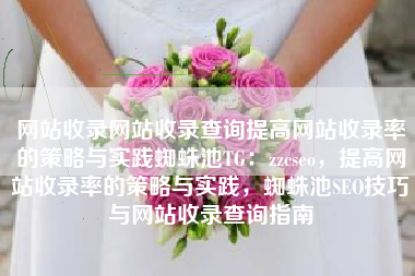 网站收录网站收录查询提高网站收录率的策略与实践蜘蛛池TG：zzcseo，提高网站收录率的策略与实践，蜘蛛池SEO技巧与网站收录查询指南