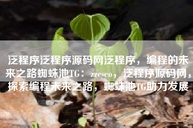 泛程序泛程序源码网泛程序，编程的未来之路蜘蛛池TG：zzcseo，泛程序源码网，探索编程未来之路，蜘蛛池TG助力发展