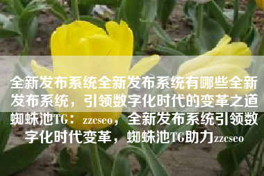 全新发布系统全新发布系统有哪些全新发布系统，引领数字化时代的变革之道蜘蛛池TG：zzcseo，全新发布系统引领数字化时代变革，蜘蛛池TG助力zzcseo