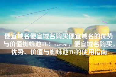 便宜域名便宜域名购买便宜域名的优势与价值蜘蛛池TG：zzcseo，便宜域名购买，优势、价值与蜘蛛池TG的使用指南