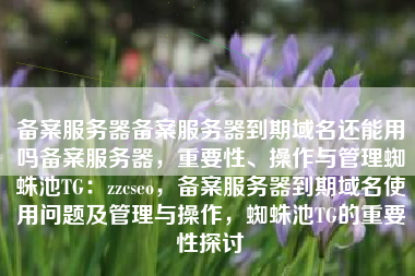 备案服务器备案服务器到期域名还能用吗备案服务器，重要性、操作与管理蜘蛛池TG：zzcseo，备案服务器到期域名使用问题及管理与操作，蜘蛛池TG的重要性探讨