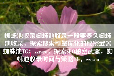 蜘蛛池收录蜘蛛池收录一般要多久蜘蛛池收录，探索搜索引擎优化的秘密武器蜘蛛池TG：zzcseo，探索SEO秘密武器，蜘蛛池收录时间与策略TG，zzcseo