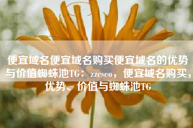 便宜域名便宜域名购买便宜域名的优势与价值蜘蛛池TG：zzcseo，便宜域名购买，优势、价值与蜘蛛池TG