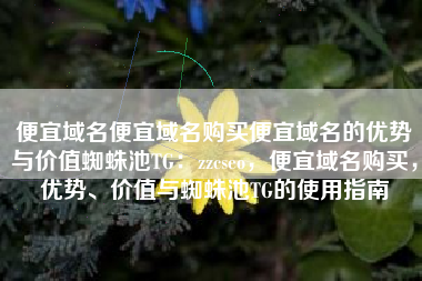 便宜域名便宜域名购买便宜域名的优势与价值蜘蛛池TG：zzcseo，便宜域名购买，优势、价值与蜘蛛池TG的使用指南