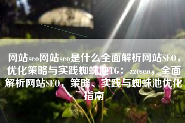 网站seo网站seo是什么全面解析网站SEO，优化策略与实践蜘蛛池TG：zzcseo，全面解析网站SEO，策略、实践与蜘蛛池优化指南