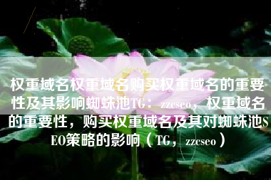 权重域名权重域名购买权重域名的重要性及其影响蜘蛛池TG：zzcseo，权重域名的重要性，购买权重域名及其对蜘蛛池SEO策略的影响（TG，zzcseo）