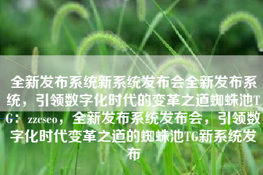全新发布系统新系统发布会全新发布系统，引领数字化时代的变革之道蜘蛛池TG：zzcseo，全新发布系统发布会，引领数字化时代变革之道的蜘蛛池TG新系统发布