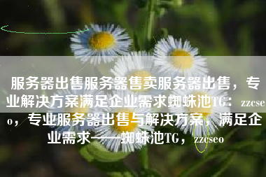 服务器出售服务器售卖服务器出售，专业解决方案满足企业需求蜘蛛池TG：zzcseo，专业服务器出售与解决方案，满足企业需求——蜘蛛池TG，zzcseo