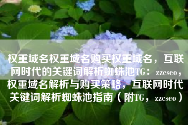 权重域名权重域名购买权重域名，互联网时代的关键词解析蜘蛛池TG：zzcseo，权重域名解析与购买策略，互联网时代关键词解析蜘蛛池指南（附TG，zzcseo）