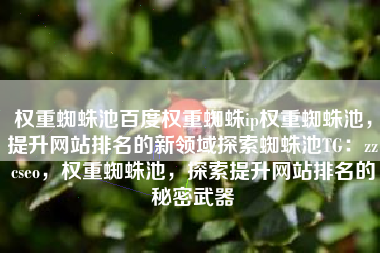 权重蜘蛛池百度权重蜘蛛ip权重蜘蛛池，提升网站排名的新领域探索蜘蛛池TG：zzcseo，权重蜘蛛池，探索提升网站排名的秘密武器