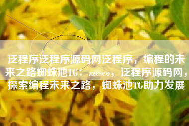 泛程序泛程序源码网泛程序，编程的未来之路蜘蛛池TG：zzcseo，泛程序源码网，探索编程未来之路，蜘蛛池TG助力发展