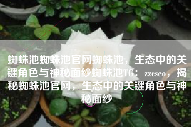 蜘蛛池蜘蛛池官网蜘蛛池，生态中的关键角色与神秘面纱蜘蛛池TG：zzcseo，揭秘蜘蛛池官网，生态中的关键角色与神秘面纱