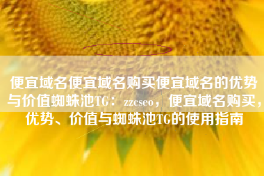 便宜域名便宜域名购买便宜域名的优势与价值蜘蛛池TG：zzcseo，便宜域名购买，优势、价值与蜘蛛池TG的使用指南