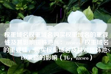 权重域名权重域名购买权重域名的重要性及其影响蜘蛛池TG：zzcseo，权重域名的重要性，购买权重域名及其对蜘蛛池SEO策略的影响（TG，zzcseo）