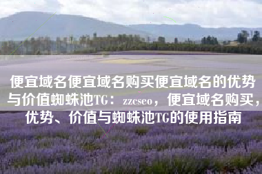 便宜域名便宜域名购买便宜域名的优势与价值蜘蛛池TG：zzcseo，便宜域名购买，优势、价值与蜘蛛池TG的使用指南