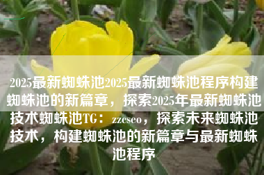 2025最新蜘蛛池2025最新蜘蛛池程序构建蜘蛛池的新篇章，探索2025年最新蜘蛛池技术蜘蛛池TG：zzcseo，探索未来蜘蛛池技术，构建蜘蛛池的新篇章与最新蜘蛛池程序