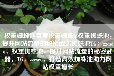 权重蜘蛛池百度权重蜘蛛ip权重蜘蛛池，提升网站流量的秘密武器蜘蛛池TG：zzcseo，权重蜘蛛池，提升网站流量的秘密武器，TG，zzcseo，打造高效蜘蛛池助力网站权重增长