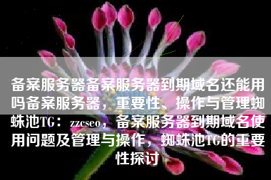 备案服务器备案服务器到期域名还能用吗备案服务器，重要性、操作与管理蜘蛛池TG：zzcseo，备案服务器到期域名使用问题及管理与操作，蜘蛛池TG的重要性探讨