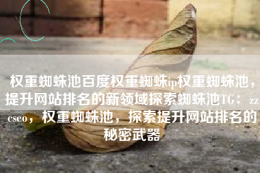 权重蜘蛛池百度权重蜘蛛ip权重蜘蛛池，提升网站排名的新领域探索蜘蛛池TG：zzcseo，权重蜘蛛池，探索提升网站排名的秘密武器