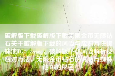 破解版下载破解版下载无限金币无限钻石关于破解版下载的风险与应对方法蜘蛛池TG：zzcseo，破解版下载风险解析及应对方法，无限金币钻石的诱惑与蜘蛛池TG的秘密
