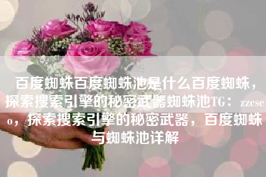 百度蜘蛛百度蜘蛛池是什么百度蜘蛛，探索搜索引擎的秘密武器蜘蛛池TG：zzcseo，探索搜索引擎的秘密武器，百度蜘蛛与蜘蛛池详解