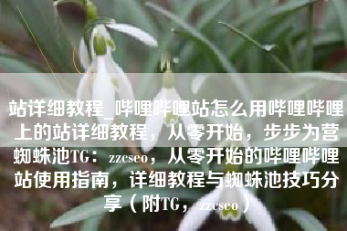 站详细教程_哔哩哔哩站怎么用哔哩哔哩上的站详细教程，从零开始，步步为营蜘蛛池TG：zzcseo，从零开始的哔哩哔哩站使用指南，详细教程与蜘蛛池技巧分享（附TG，zzcseo）