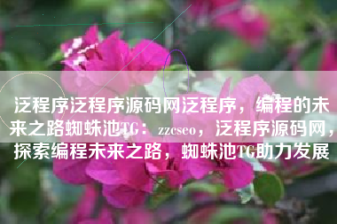 泛程序泛程序源码网泛程序，编程的未来之路蜘蛛池TG：zzcseo，泛程序源码网，探索编程未来之路，蜘蛛池TG助力发展
