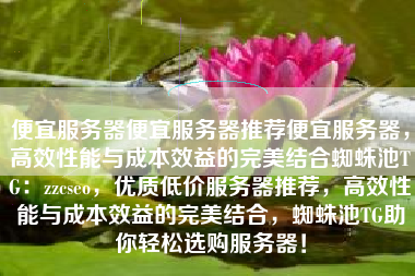 便宜服务器便宜服务器推荐便宜服务器，高效性能与成本效益的完美结合蜘蛛池TG：zzcseo，优质低价服务器推荐，高效性能与成本效益的完美结合，蜘蛛池TG助你轻松选购服务器！