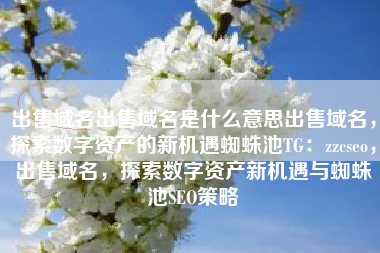 出售域名出售域名是什么意思出售域名，探索数字资产的新机遇蜘蛛池TG：zzcseo，出售域名，探索数字资产新机遇与蜘蛛池SEO策略
