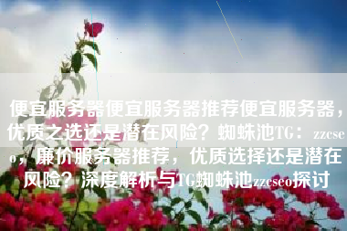 便宜服务器便宜服务器推荐便宜服务器，优质之选还是潜在风险？蜘蛛池TG：zzcseo，廉价服务器推荐，优质选择还是潜在风险？深度解析与TG蜘蛛池zzcseo探讨