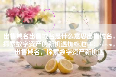 出售域名出售域名是什么意思出售域名，探索数字资产的新机遇蜘蛛池TG：zzcseo，出售域名，探索数字资产新机遇
