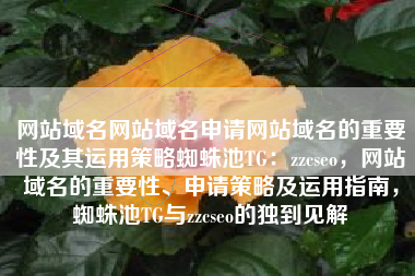 网站域名网站域名申请网站域名的重要性及其运用策略蜘蛛池TG：zzcseo，网站域名的重要性、申请策略及运用指南，蜘蛛池TG与zzcseo的独到见解
