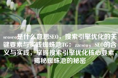 seoseo是什么意思SEO，搜索引擎优化的关键要素与实践蜘蛛池TG：zzcseo，SEO的含义与实践，掌握搜索引擎优化核心要素，揭秘蜘蛛池的秘密