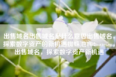出售域名出售域名是什么意思出售域名，探索数字资产的新机遇蜘蛛池TG：zzcseo，出售域名，探索数字资产新机遇
