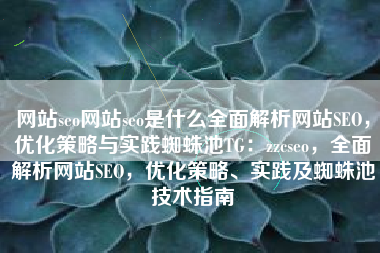 网站seo网站seo是什么全面解析网站SEO，优化策略与实践蜘蛛池TG：zzcseo，全面解析网站SEO，优化策略、实践及蜘蛛池技术指南