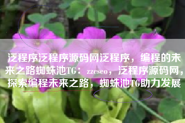 泛程序泛程序源码网泛程序，编程的未来之路蜘蛛池TG：zzcseo，泛程序源码网，探索编程未来之路，蜘蛛池TG助力发展
