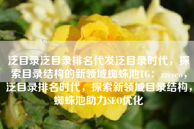 泛目录泛目录排名代发泛目录时代，探索目录结构的新领域蜘蛛池TG：zzcseo，泛目录排名时代，探索新领域目录结构，蜘蛛池助力SEO优化