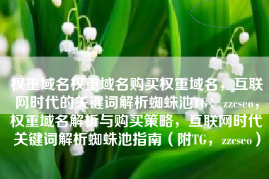 权重域名权重域名购买权重域名，互联网时代的关键词解析蜘蛛池TG：zzcseo，权重域名解析与购买策略，互联网时代关键词解析蜘蛛池指南（附TG，zzcseo）