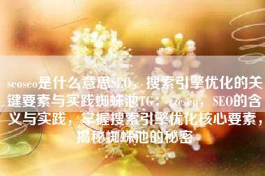 seoseo是什么意思SEO，搜索引擎优化的关键要素与实践蜘蛛池TG：zzcseo，SEO的含义与实践，掌握搜索引擎优化核心要素，揭秘蜘蛛池的秘密