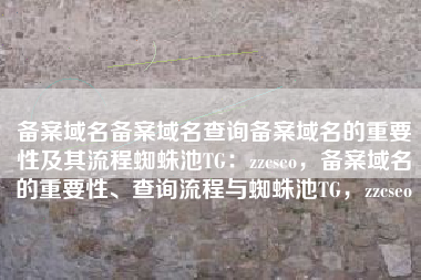 备案域名备案域名查询备案域名的重要性及其流程蜘蛛池TG：zzcseo，备案域名的重要性、查询流程与蜘蛛池TG，zzcseo