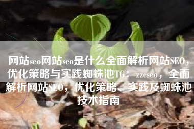 网站seo网站seo是什么全面解析网站SEO，优化策略与实践蜘蛛池TG：zzcseo，全面解析网站SEO，优化策略、实践及蜘蛛池技术指南