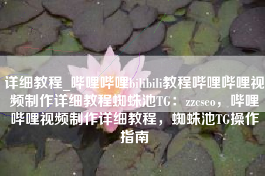 详细教程_哔哩哔哩bilibili教程哔哩哔哩视频制作详细教程蜘蛛池TG：zzcseo，哔哩哔哩视频制作详细教程，蜘蛛池TG操作指南