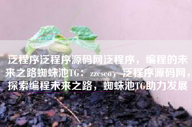 泛程序泛程序源码网泛程序，编程的未来之路蜘蛛池TG：zzcseo，泛程序源码网，探索编程未来之路，蜘蛛池TG助力发展