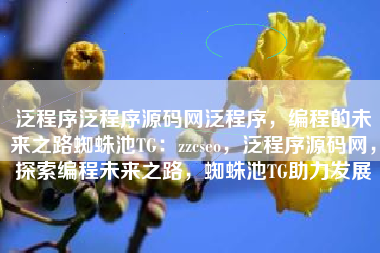 泛程序泛程序源码网泛程序，编程的未来之路蜘蛛池TG：zzcseo，泛程序源码网，探索编程未来之路，蜘蛛池TG助力发展